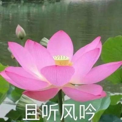 江阴银行监事承晖增持1500股，增持金额5760元